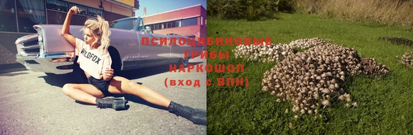 2c-b Иннополис